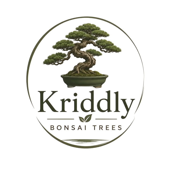 Kriddly Bonsai Trees Logo